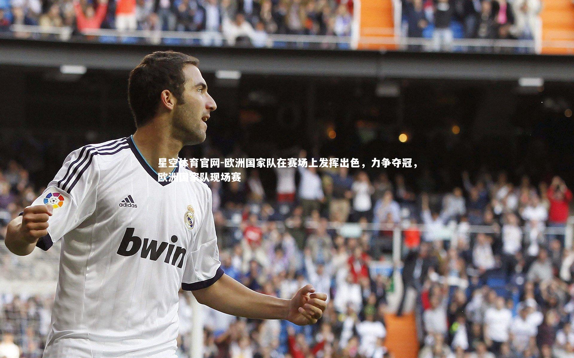 星空体育官网-欧洲国家队在赛场上发挥出色，力争夺冠，欧洲国家队现场赛